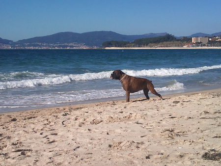 Guido in the Vigo�s beach