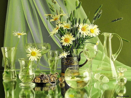 Still life - nice, delicate, still life, lovely, vase, pretty, green, flowers, daisies, harmony