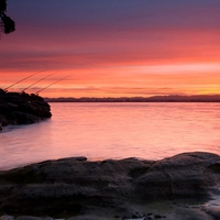 Fishing at Sunset