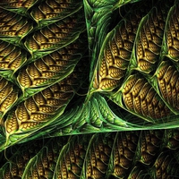 Seed Pod Fractal