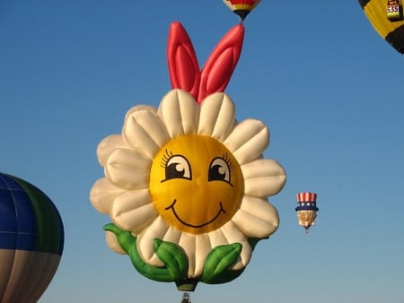 Daisy Hot Air Balloon - balloon, sky, flower, daisy