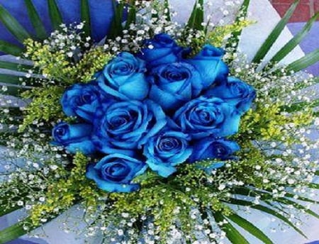 perfect blue rose - blossoms, soft, flowers, delecate, blue, plants, nice, lovely, blooms, nature