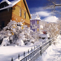 Winter Scene