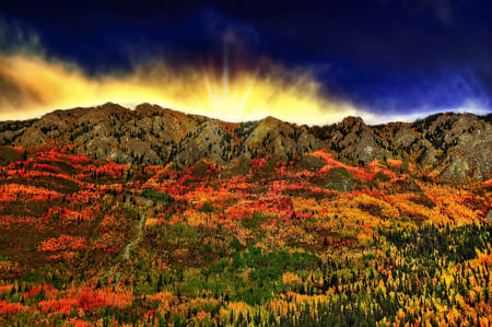 Splendor - mountains, landscape, beautiful, flowers, amazing, hdr, sky, clouds, view, field, image, wild, nature, colors