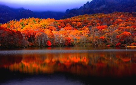 AUTUMN REFLECTION - autum, lake, forest, reflection, sky