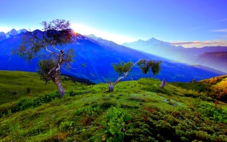 GRACEFUL MORNING - rays, horizon, morning, nature, sun, mountains