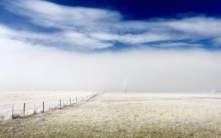 Field - fense, field, earth, tree