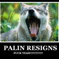 Wolf Motivational poster