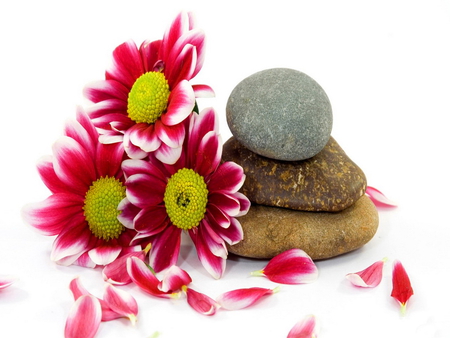 Flowers and stones - pretty, beautiful, lovely, pink, stones, flowers, red, arrangement, nice