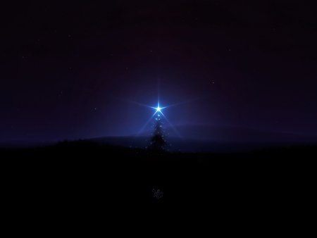 magic_of_christmas - night, star, christmas, 3d