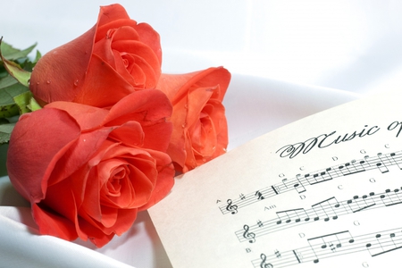 ♪ ♬ My feelings sound for you...♪ ♬♪ ♬ - fashion, red roses, entertainment, music notes, precious, memories, music, forever, sunshine, love, sweet, wonderful, special you, passion, feelings, immaculate, remember