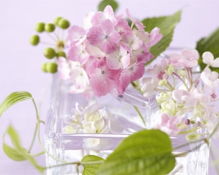 Amazing Light ~â™¥~ - amazing colors, love, square bowl, sunshine, light, fashion, entertainment, white, crystal, tiny, forever, small flowers, soft purple, soft pink