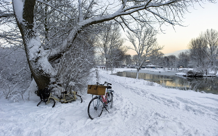 Winter Time - beauty, sky, trees, magic, peaceful, water, view, winter time, pretty, walk, clouds, tree, lake, winter, bicycle, lovely, nature, snow, beautiful, splendor