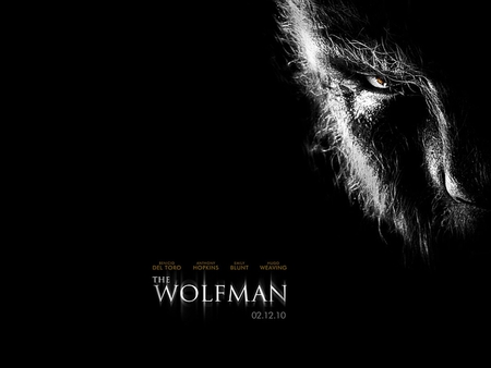 Wolfman - movie, wolfman, beautiful, wallpaper