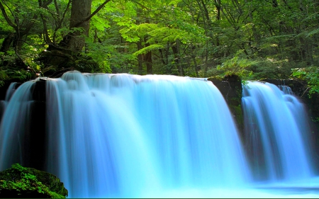 RAINFOREST FALLS - forest, rainforest, nature, falls