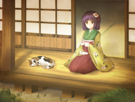 Hidan No Akyuu - anime, anime girl, touhou, beauty, shrine maiden project, hidan no akyuu, kimono, cat