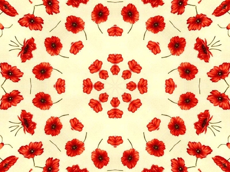 Kaleidoscopes of Poppies - kaleidoscope, flower, circle, poppies