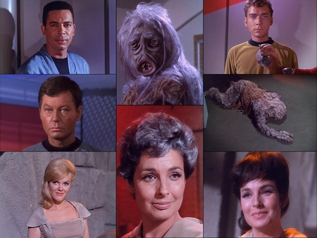 The Many Faces of Nancy Crater - star trek, nancy crater, tos, the man trap