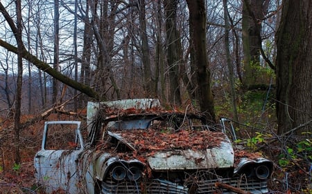 Abandonado - hd, bosque, arboles, abandonado