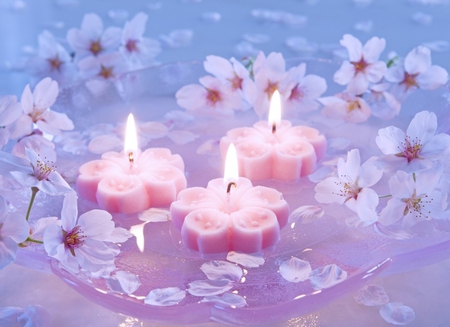 Light and beauty for my Annie - beauty, candles, wonderful, fire, spring, art, petals, soft pink, candle, light, soft, warmth, pink, hope, flowers, plate, decoration, flower