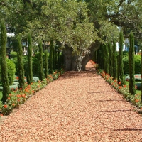 Bahai Gardens, Acco Israel