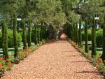 Bahai Gardens, Acco Israel