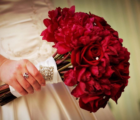 Red roses - holding, of red, color, bride, flowers