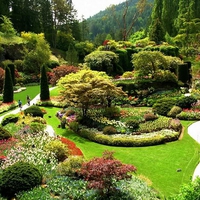 Butchart Gardens