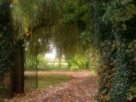 Gateway to a Autumn Home - gate, leaves, moss, ground