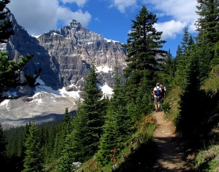 Hiking The Canadian Rockies - hiking, sky, trees, mountain