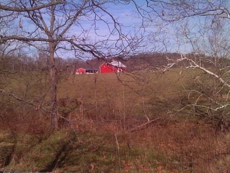 Red Barn - trees, blue, red, barn, sky