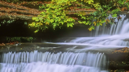 Beautiful Falls - falls, beautiful, leaves, green, cascade, lovely