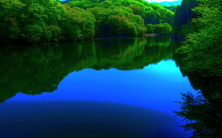 GREEN FOREST RIVER - forest, blue, river, water, green