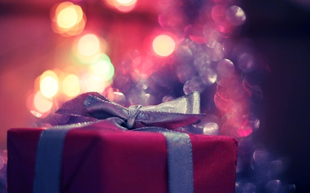 the gift - christmas, holiday, romantic, lights, photography, present, love, happy