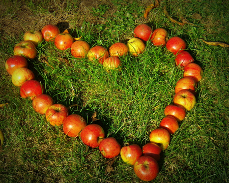 Healthy Heart - grass, healthy, apple, heart