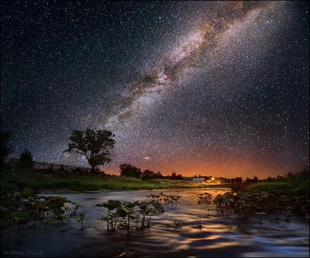 The Milky Way. - star, water, milky way, tree, sun, sky