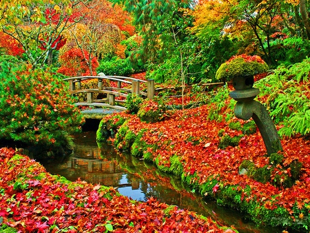 Colorful autumn forest