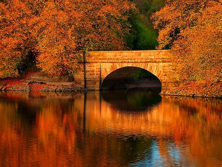 Red autumn - river, trees, autumn, red, reflection, day