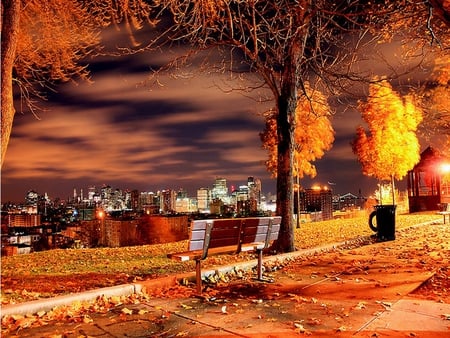 Night bench - streets, lights, evening, bench, city, night