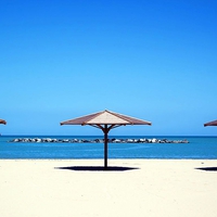 Umbrella-on-Beach