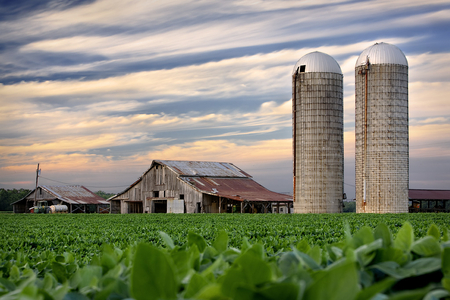 Silo's - architecture, people, farms, barn