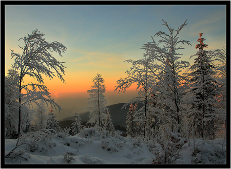 winter sunset - trees, winter, sunset, snow, forest