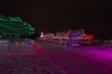 SNOWY CHRISTMAS LANE HDR - christmas, snow, hdr, lights