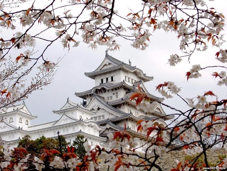 Himeji Castle in Japan - sky, himeji, white, build, japan, castle, red, blue, blossom, architecture, leaves, tree, chinese