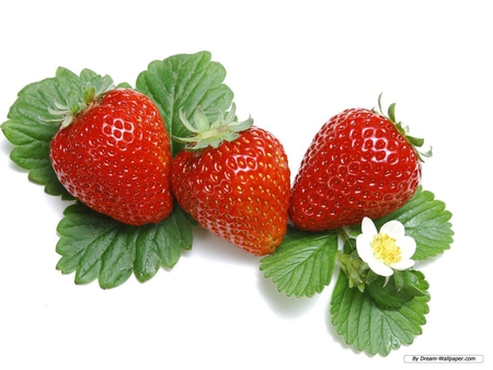 STRAWBERRY'S - red, fruit, juicy, sweet, strawberrys