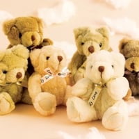 LOVE TEDDY BEARS