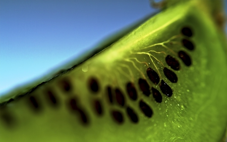 slice - fruit, green, juicy, kiwi