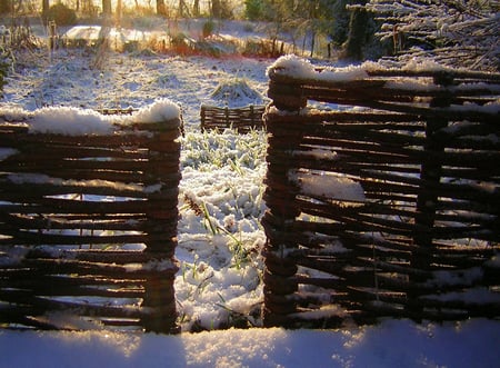 First snow - gate, fench, winter, beauty, nature, snow, cold