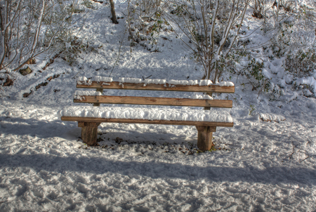 Winter corner - trees, winter, snow, beauty, corner, white, nature, cold, bench