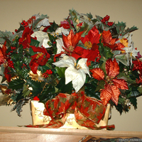 Christmas Flowers